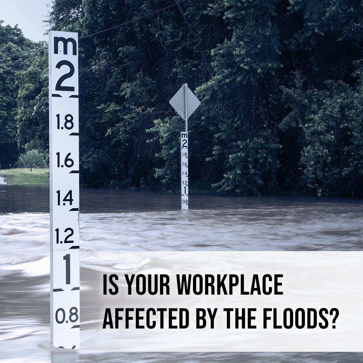 photo of flood with text Is your workplace affected by the floods