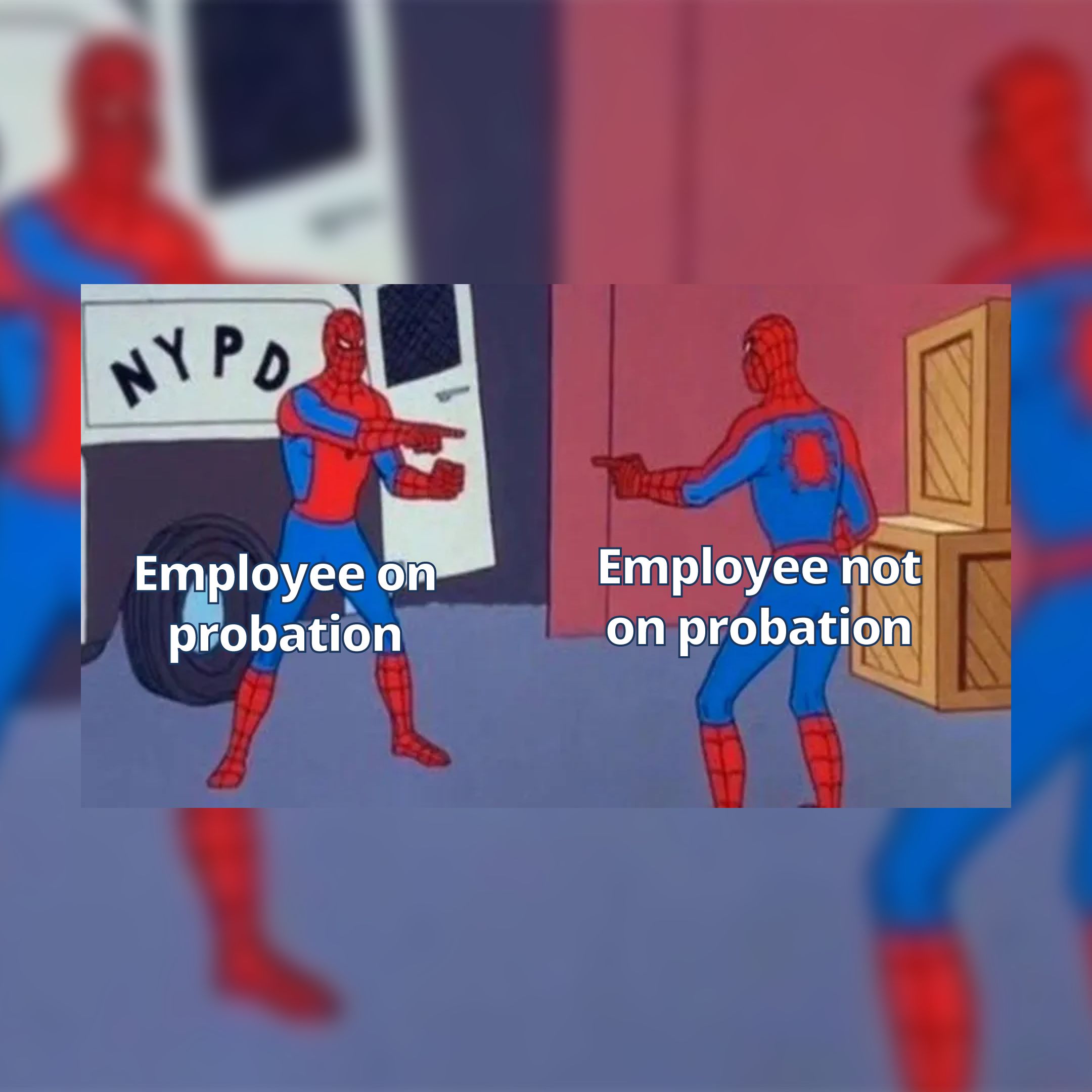 Spiderman illustration with text Employee on probation versus Employee not on probation